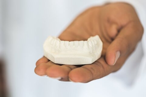 Prosthodontist holding dental mold
